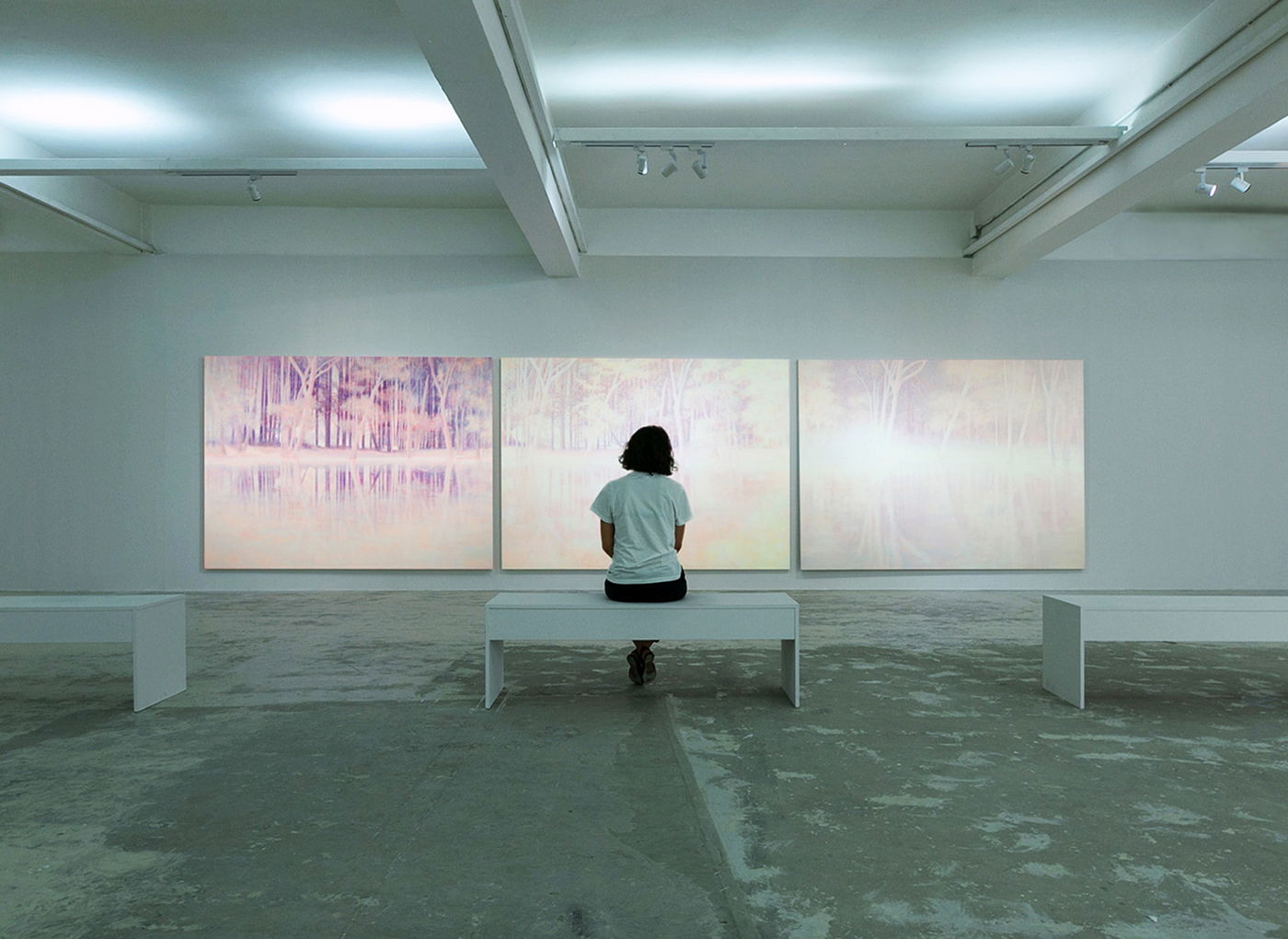 Slow Light - Exhibition views, 2018