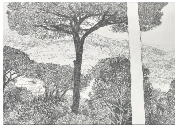 DANIELE GENADRY - SIX LANDSCAPES