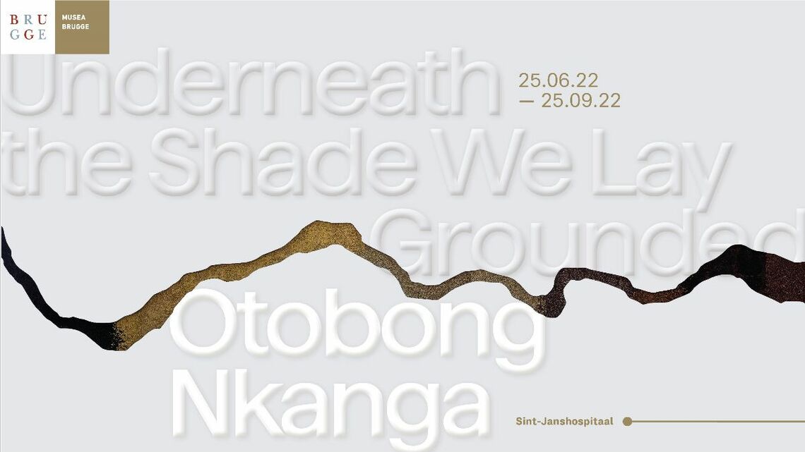 Otobong Nkanga - Underneath the Shade We Lay Grounded